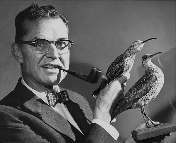 James Bond with Eskimo Curlew
