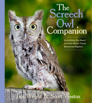 Screech Owl cover Wright