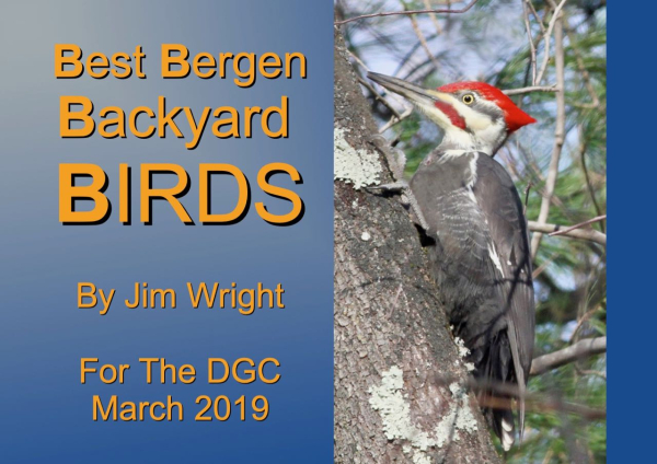 Screen Shot 2019-02-28 at 11.02.49 AM