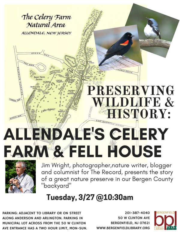Celery farm (1) flyer(1)-1