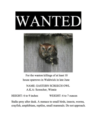 Wantedposterforscreechowl