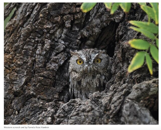 Screenshot 2024-01-27 at 7.39.09 AM