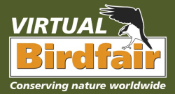 Screen Shot 2020-08-10 at 8.01.43 AM