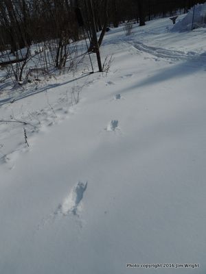 DSCN9103