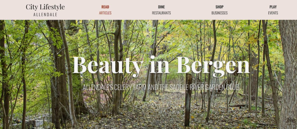 Screen Shot 2020-04-01 at 12.35.27 PM