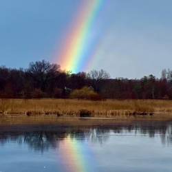 Celery Farm Wright  rainbow IMG_0552