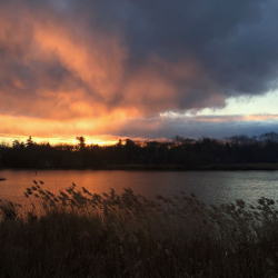 Celery Farm Wright sunset IMG_1067