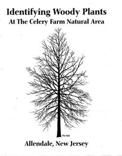 6a00e008d9a22188340120a96632b6970b-320pi-1