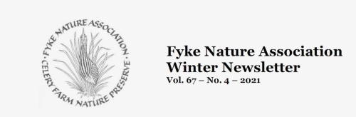 Screen Shot 2021-10-29 at 8.06.47 PM