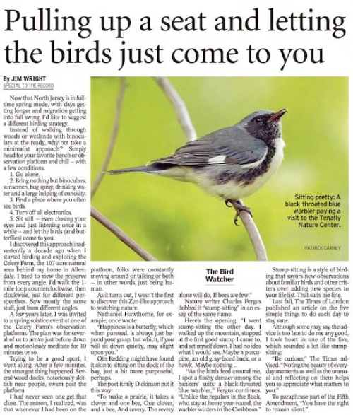 Stump sitting column (2)