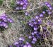 DSCN0111-001