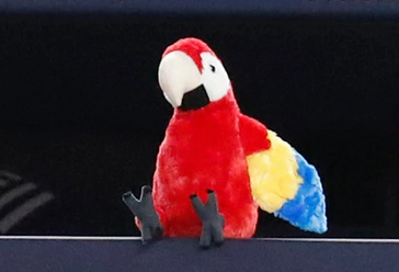 Screen Shot 2019-08-16 at 9.02.52 AM