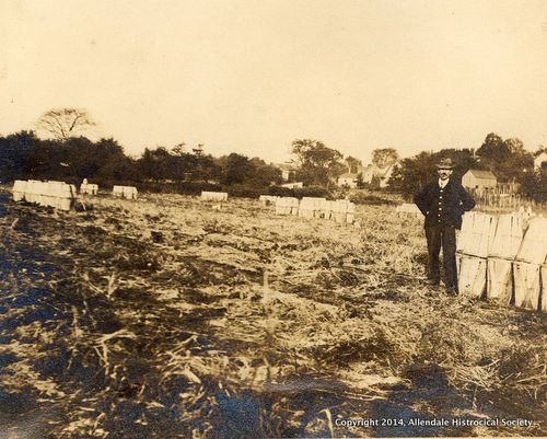 CF_History-002