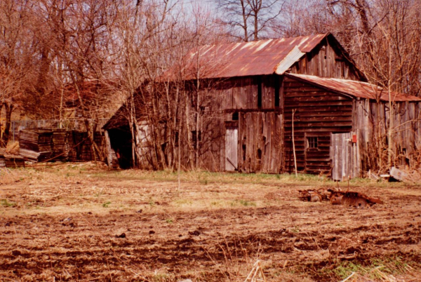 Bajor  8 img20201105_16385125 (1)