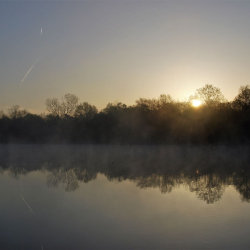 4-15-2010 Sun is on the Rise (small)(1)