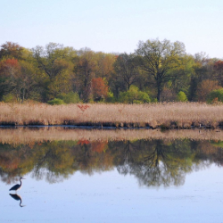 5-1-2013 Tranquility (Small)(1)