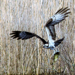 5-1-2014 Success (Small)(1)