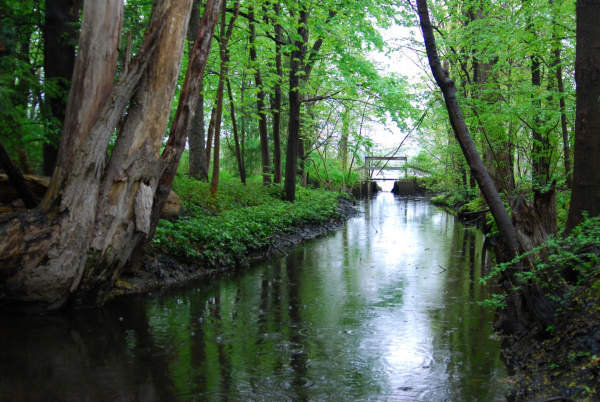5-3-2009 Spillway in the Rain (Small)