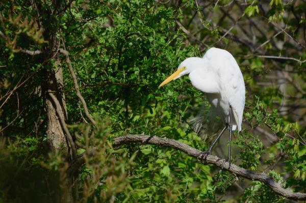 5-3-2009 Spillway in the Rain (Small)