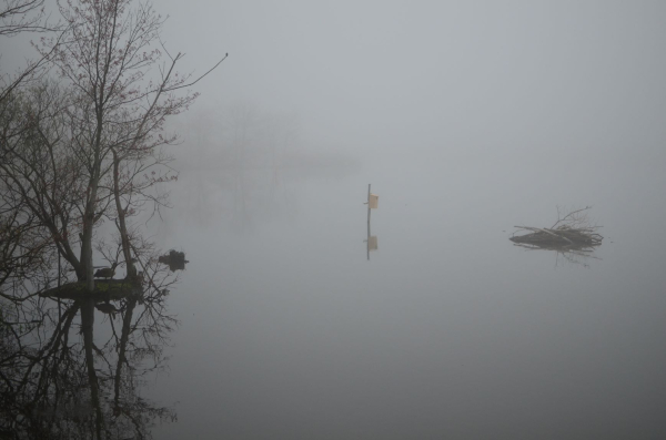 4-26-2011 Foggy Morning on the Lake (Small)