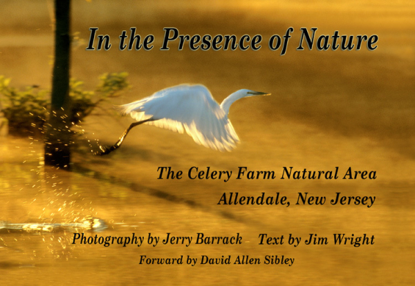 1-celery farm book cover
