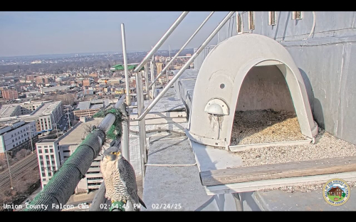 Screenshot 2025-02-24 at 2.55.02 PM