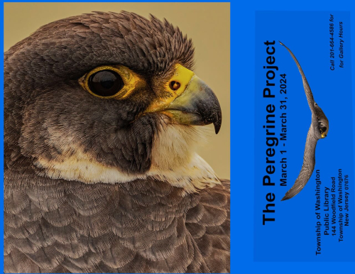 TWBrochure.Front copy 2