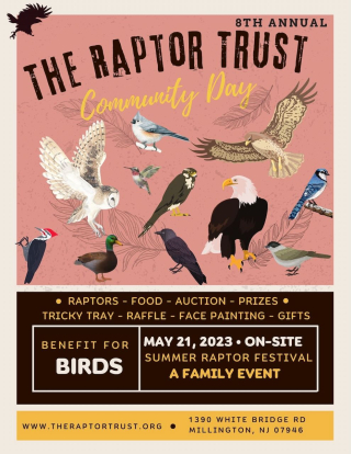 Raptor trust dsay