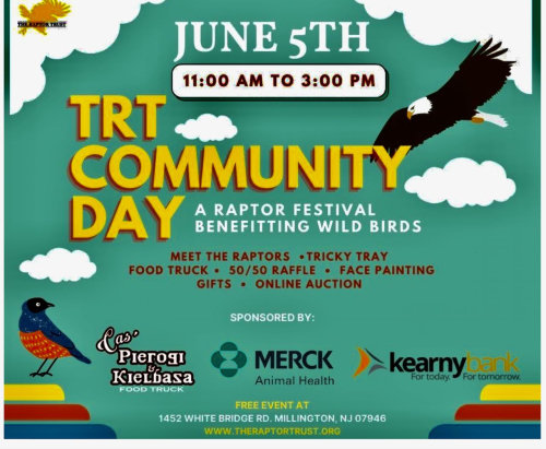 Screen Shot 2022-05-30 at 7.03.44 PM