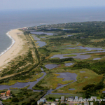 S. Cape May  Meadows LH JW_4566-001