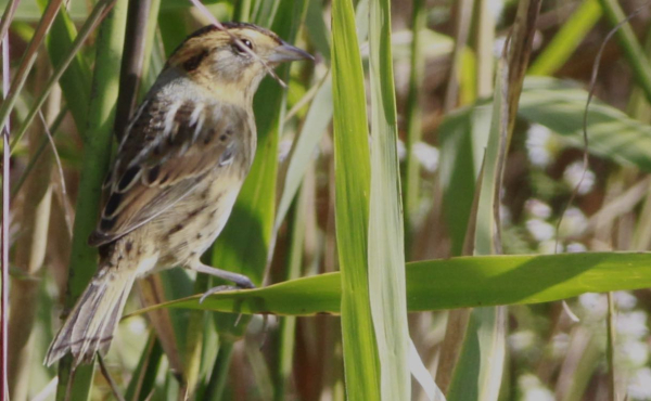 Screen Shot 2020-09-30 at 3.00.41 PM