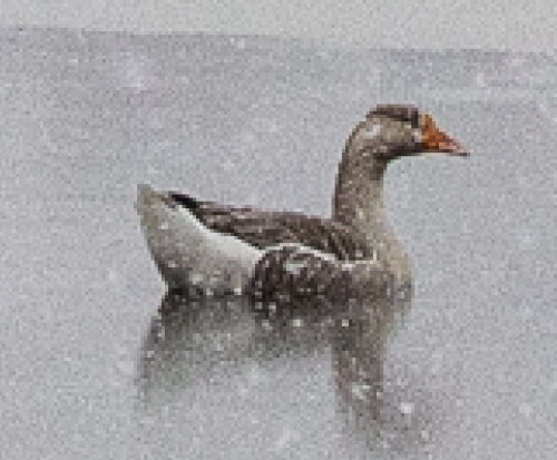 Screenshot 2024-02-13 at 1.22.14 PM Screenshot 2024-02-13 at 1.22.14 PM