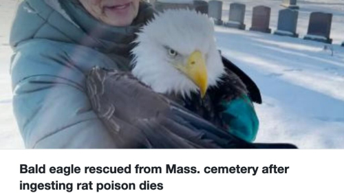 Screenshot 2023-03-02 at 1.46.06 PM