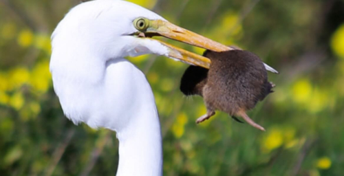 Screenshot 2024-11-12 at 11.43.07 AM