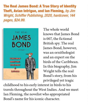 Screen Shot 2020-06-08 at 8.04.15 PM (1)