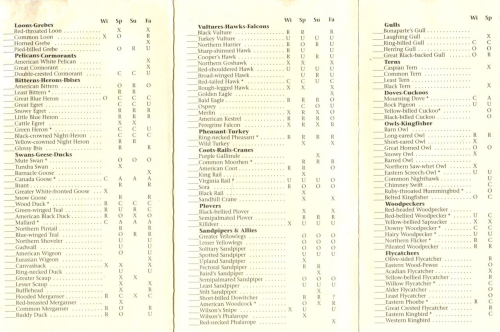 Img20221231_09403655