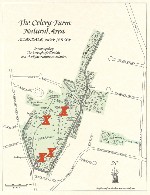 Celery Farm Map high-res-001