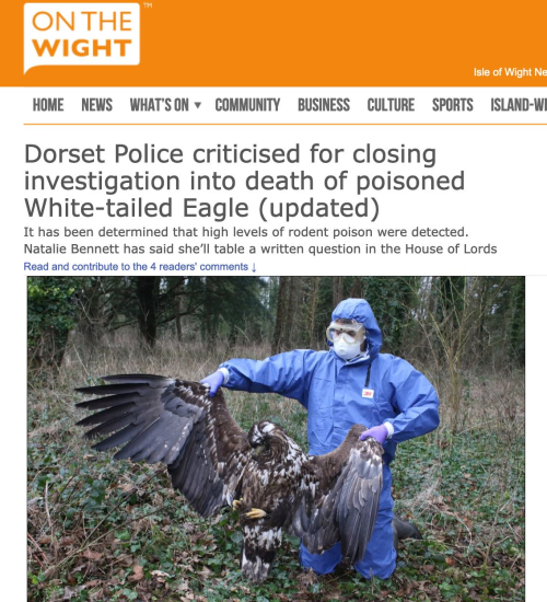 Screen Shot 2022-03-31 at 8.14.16 AM