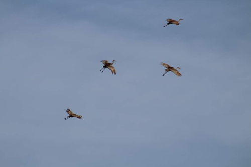 FB_IMG_1715300667854