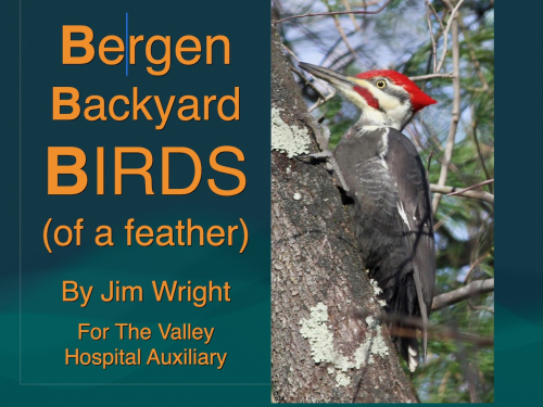 Backyaad Bergen Biods promo