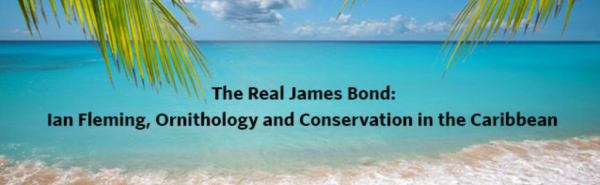 Screen Shot 2021-03-15 at 8.10.02 AM