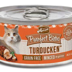 Screen Shot 2019-01-17 at 9.56.48 AM