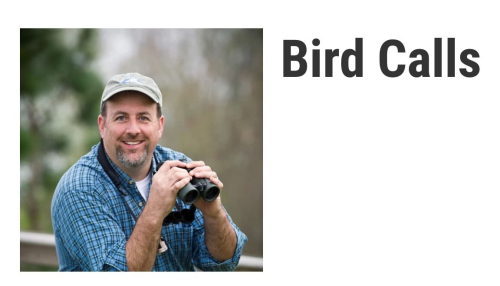 Screenshot 2024-07-29 at 12.26.52 PM