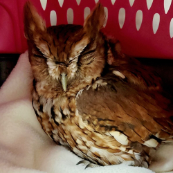 Resized_20240911_134304_1726076634040