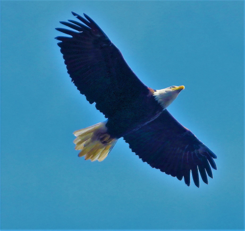 459293680_1223681972162538_9134937915341625431_n