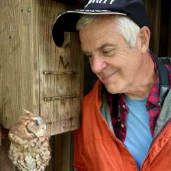 Wright Owl  IMG_0516 (1)