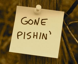 Gone pishin