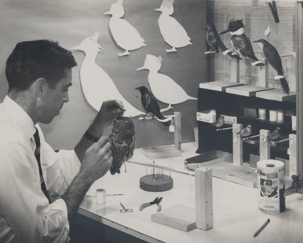 109 Parsons working-shrprcrop