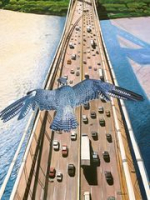 636306384957690399-peregrinegwbridge