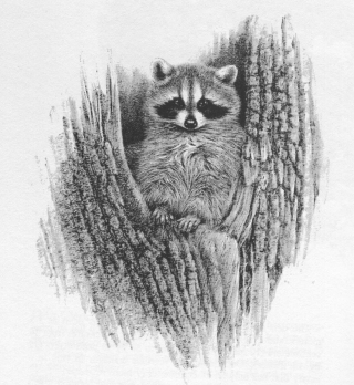 Img20200605_09235766